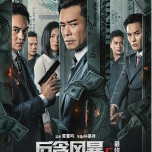 2021年热门电视剧：反贪风暴第5部，4K画质，U盘、拷电视可观看，国粤双语发行